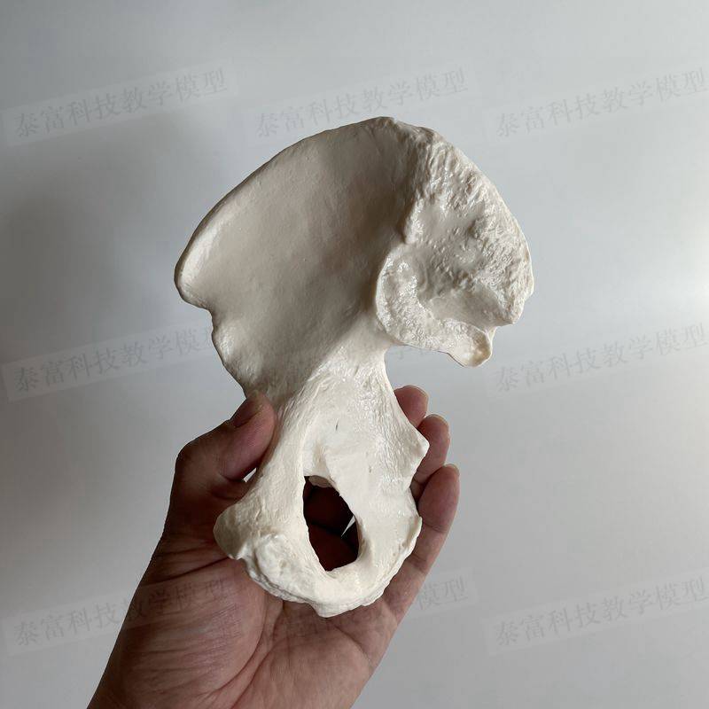 Single side of the hip